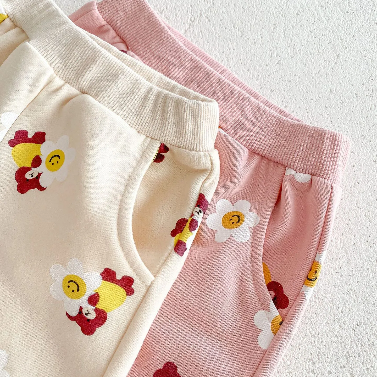 2 Pieces Set Baby Kid Girls Flower Cartoon Print Hoodies Sweatshirts And Pants Wholesale 23101964