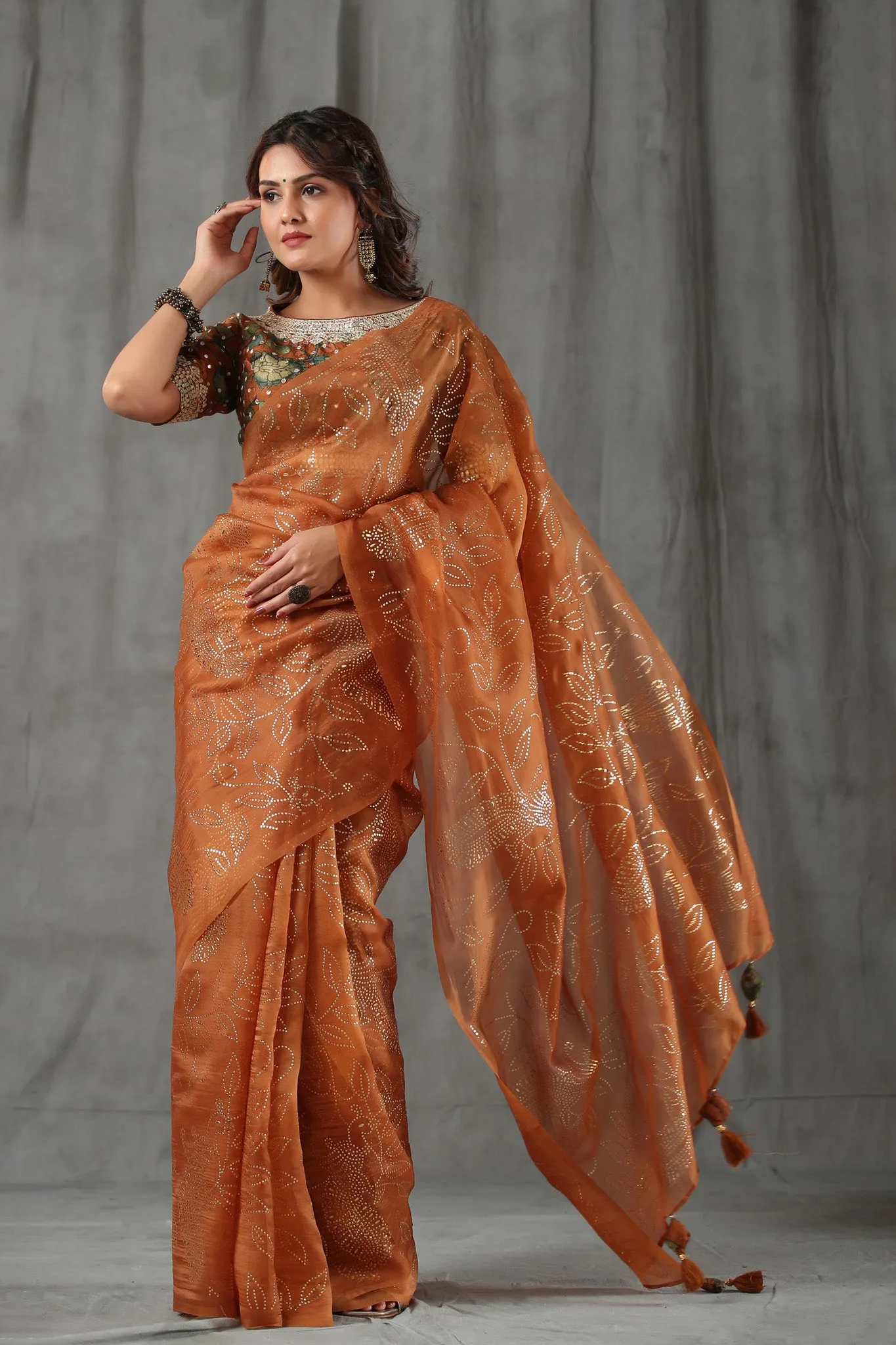 90Z803-RO Brown Organza Saree with Designer Kalamkari Blouse