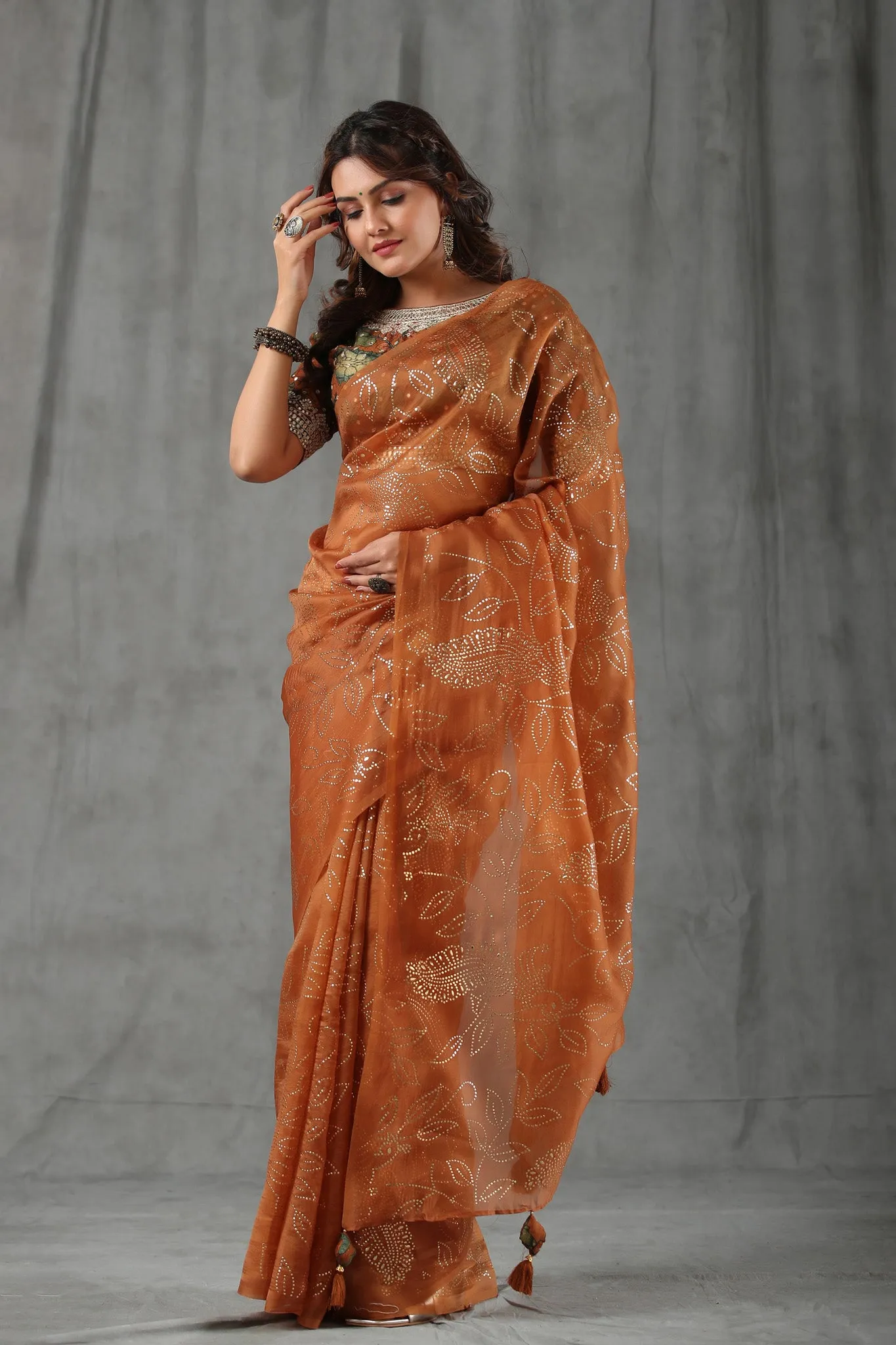 90Z803-RO Brown Organza Saree with Designer Kalamkari Blouse