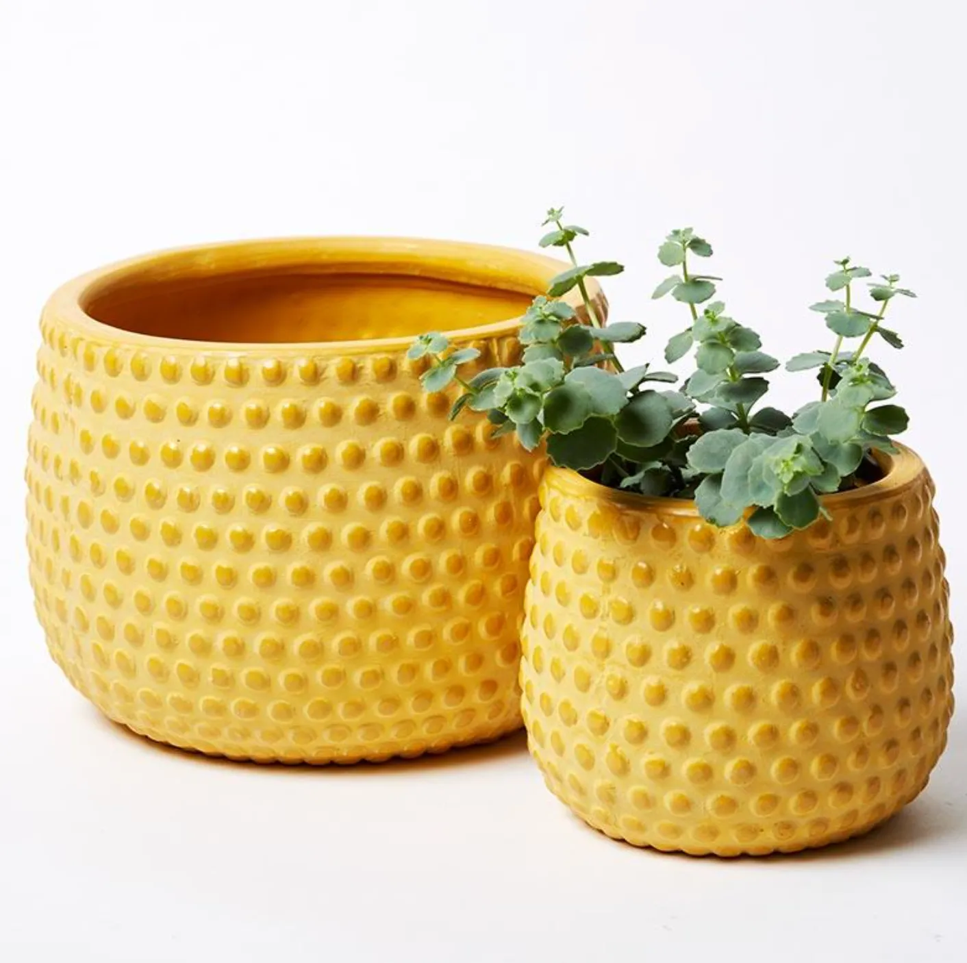 Hobnail Planter - Small (Multiple Colors)