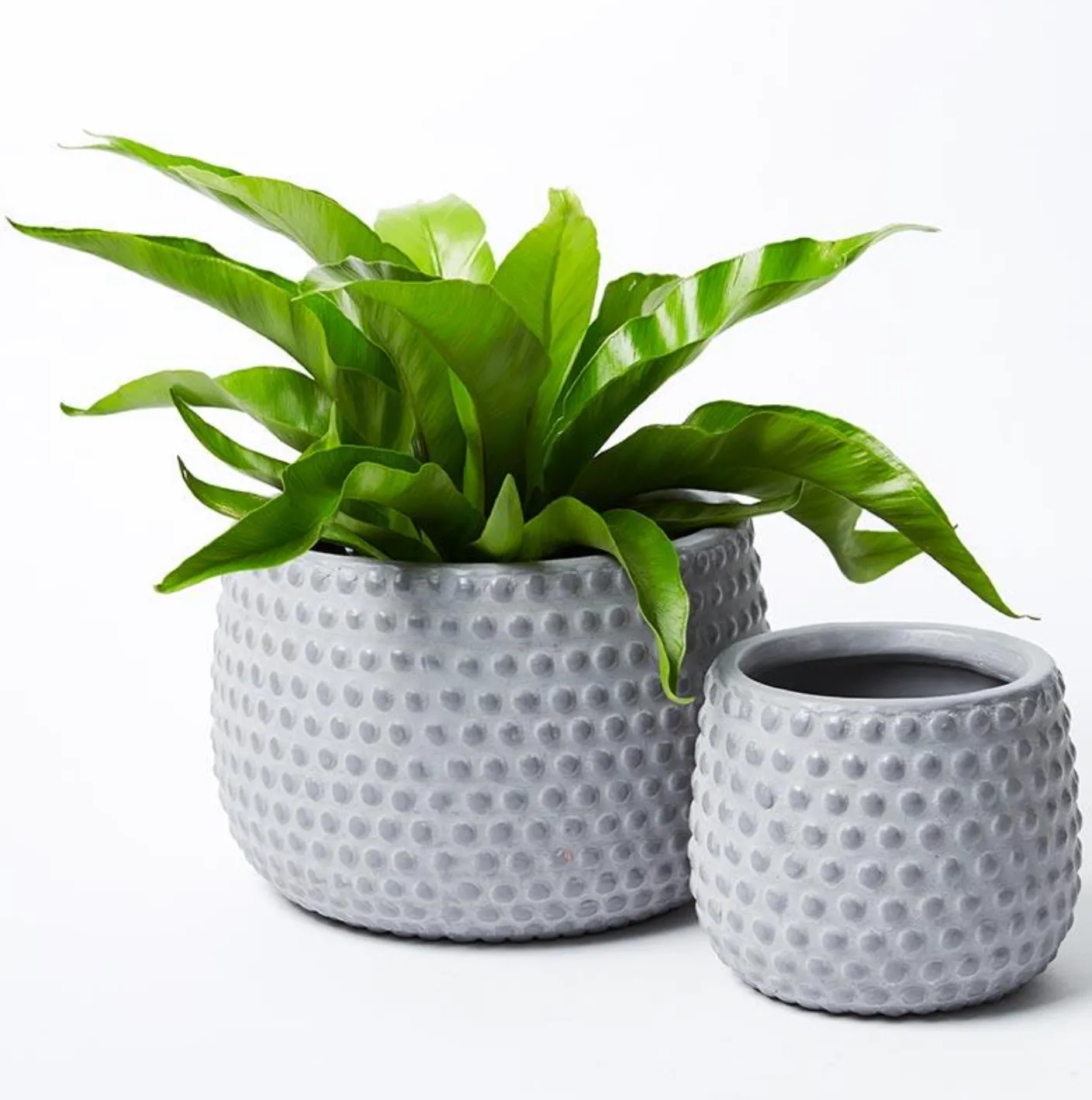 Hobnail Planter - Small (Multiple Colors)