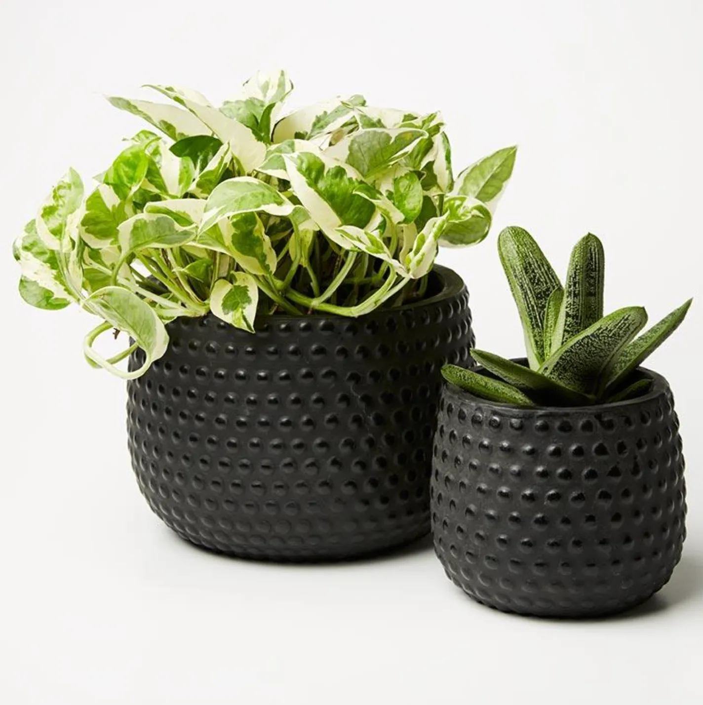 Hobnail Planter - Small (Multiple Colors)