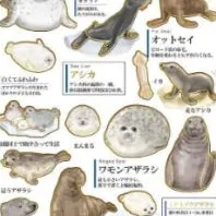 Kamio Otonano-Zukan Sea Lions & Seals Stcikers